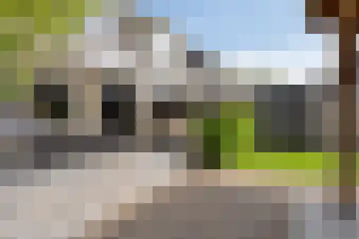 Ballade 67 Zwijndrecht thumbnail 36
