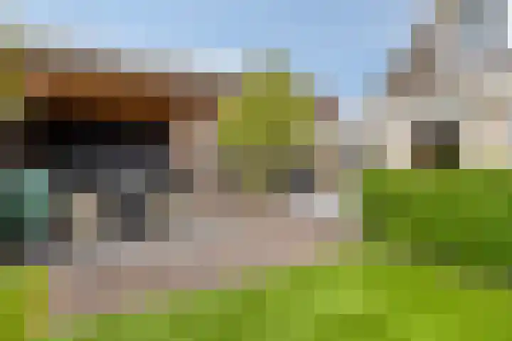 Ballade 67 Zwijndrecht thumbnail 5