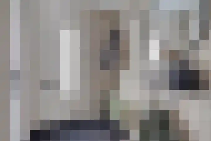 Ballade 67 Zwijndrecht thumbnail 7