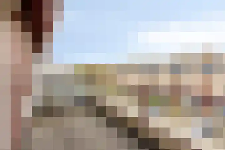 Ballade 77 Zwijndrecht thumbnail 30