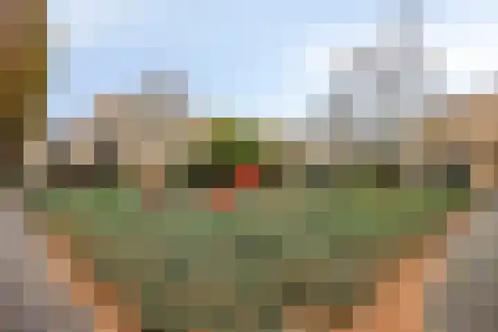 Ballade 77 Zwijndrecht thumbnail 34