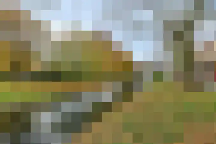 Ballade 77 Zwijndrecht thumbnail 35