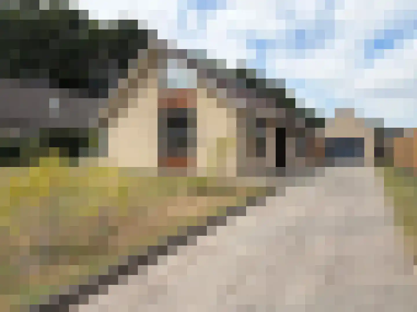 Ballandstraat 43 Dalen thumbnail 12
