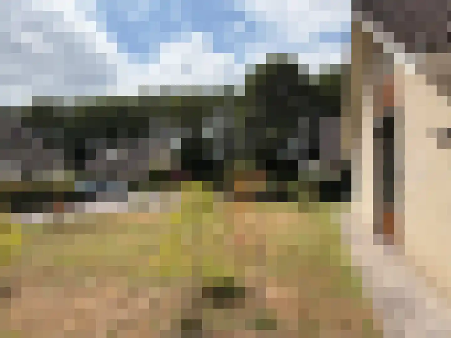 Ballandstraat 43 Dalen thumbnail 13