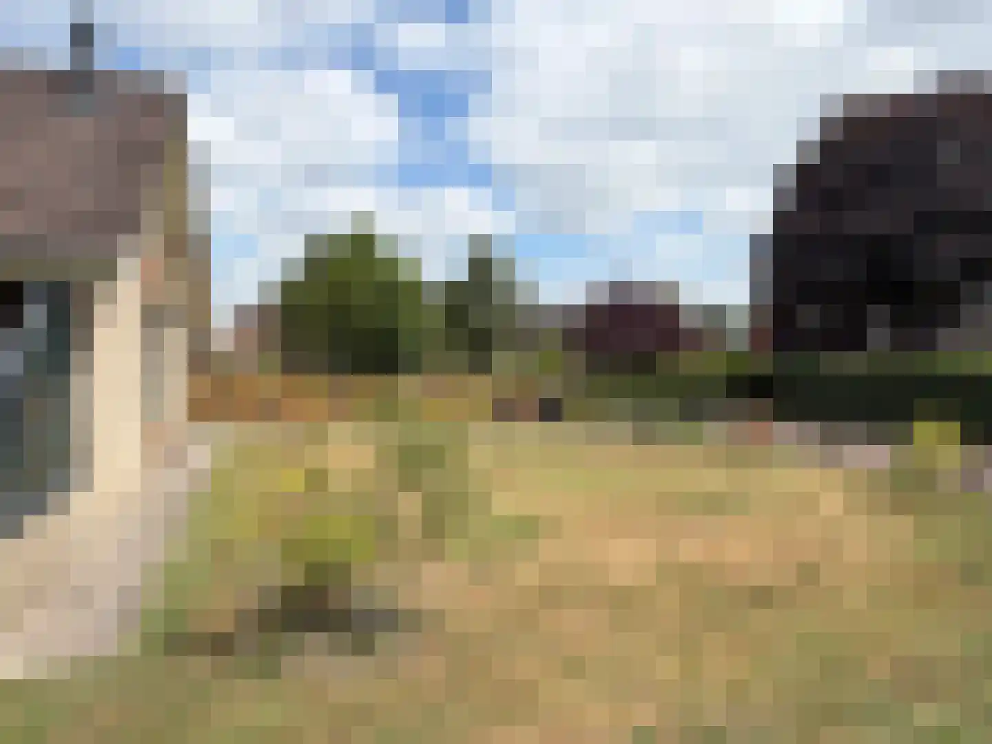 Ballandstraat 43 Dalen thumbnail 14