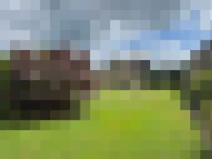 Ballandstraat 43 Dalen thumbnail 17