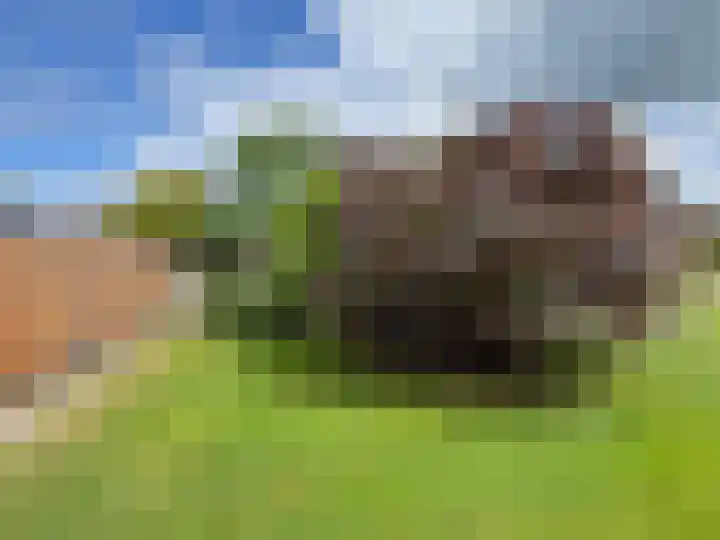 Ballandstraat 43 Dalen thumbnail 18