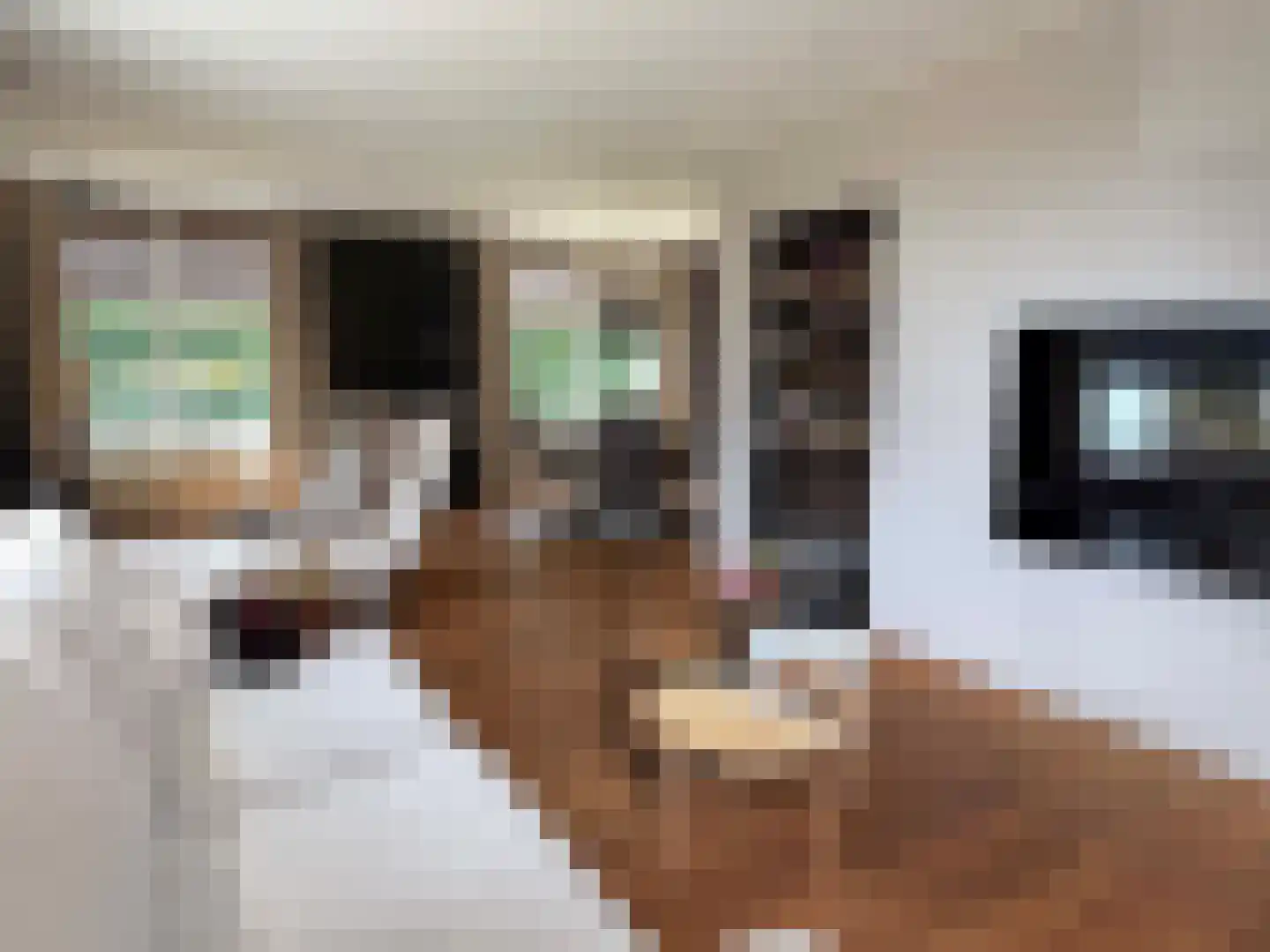 Ballandstraat 43 Dalen thumbnail 21