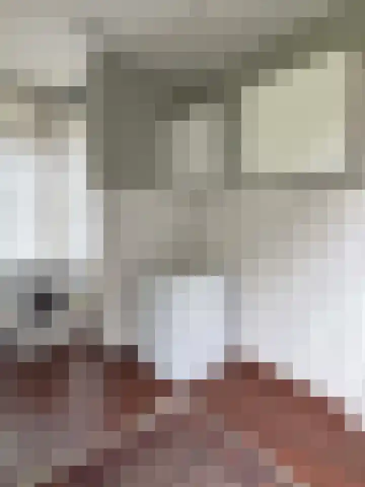Ballandstraat 43 Dalen thumbnail 34