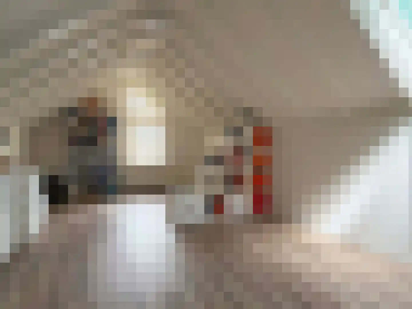 Ballandstraat 43 Dalen thumbnail 35