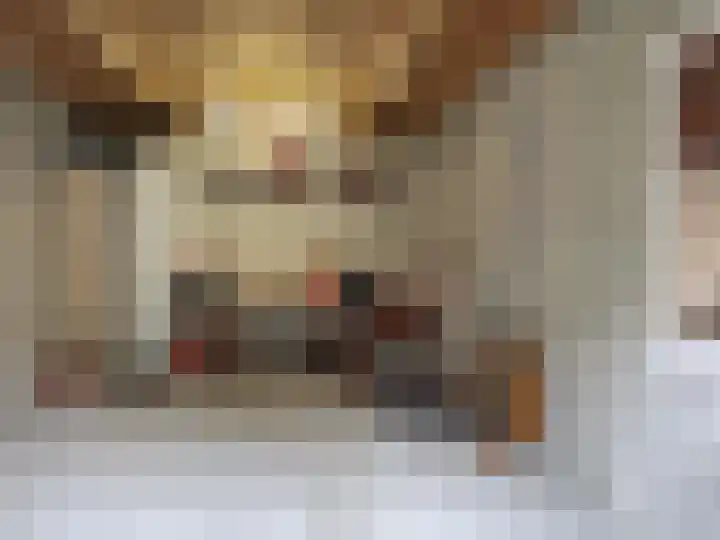Ballandstraat 43 Dalen thumbnail 44