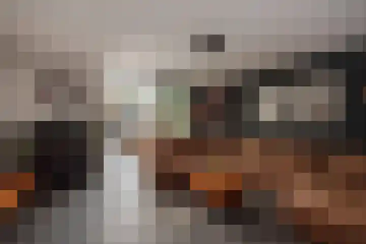 Ballangéelaan 24 Den Haag thumbnail 11