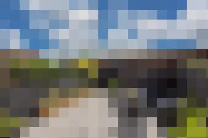 Ballangéelaan 24 Den Haag thumbnail 14