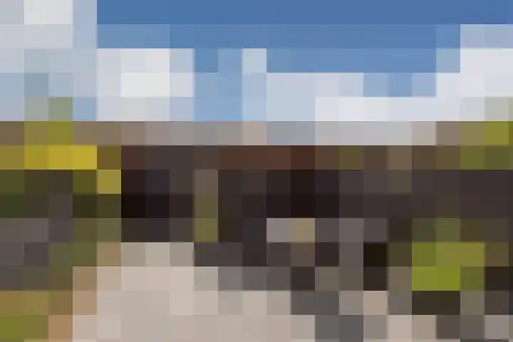 Ballangéelaan 24 Den Haag thumbnail 15