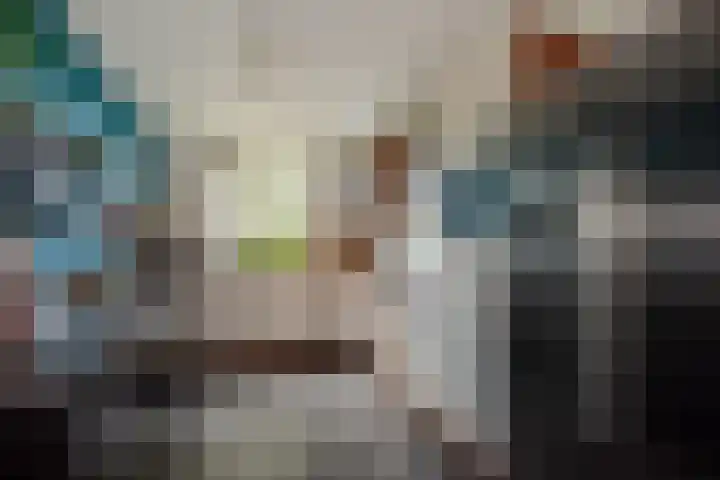 Ballangéelaan 24 Den Haag thumbnail 18