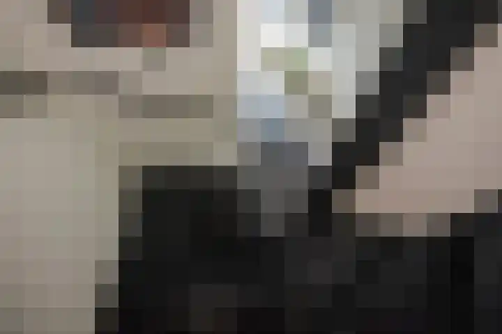 Ballangéelaan 24 Den Haag thumbnail 19