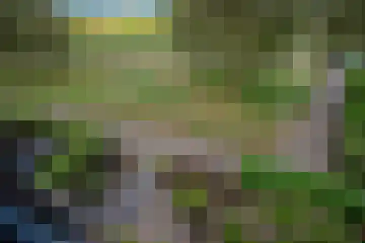 Ballangéelaan 24 Den Haag thumbnail 33
