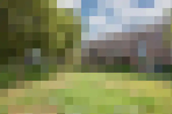 Ballangéelaan 24 Den Haag thumbnail 4