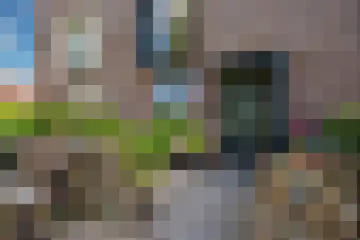 Ballangéelaan 24 Den Haag thumbnail 5