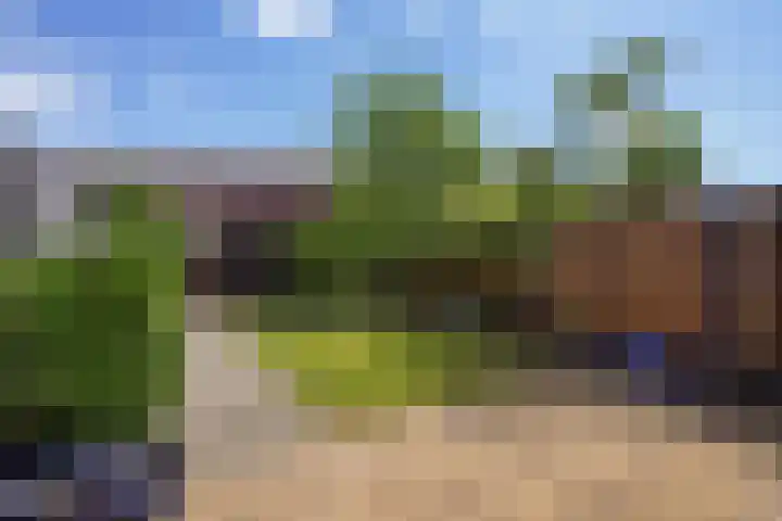 Ballangéelaan 52 Den Haag thumbnail 31