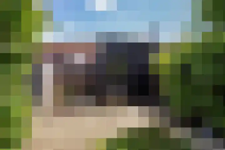 Ballangéelaan 52 Den Haag thumbnail 32
