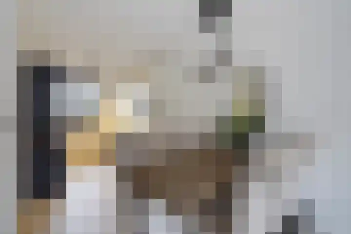 Ballangéelaan 52 Den Haag thumbnail 4