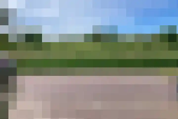 Ballangéelaan 52 Den Haag thumbnail 5
