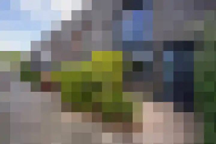 Ballangéelaan 52 Den Haag thumbnail 8