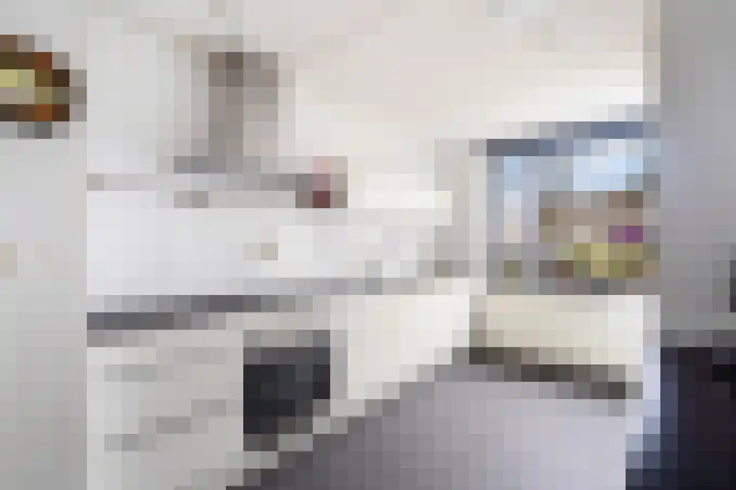 Ballangéelaan 92 Den Haag thumbnail 13