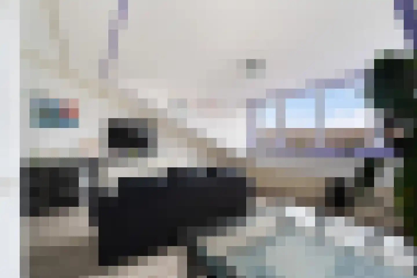 Ballangéelaan 92 Den Haag thumbnail 41