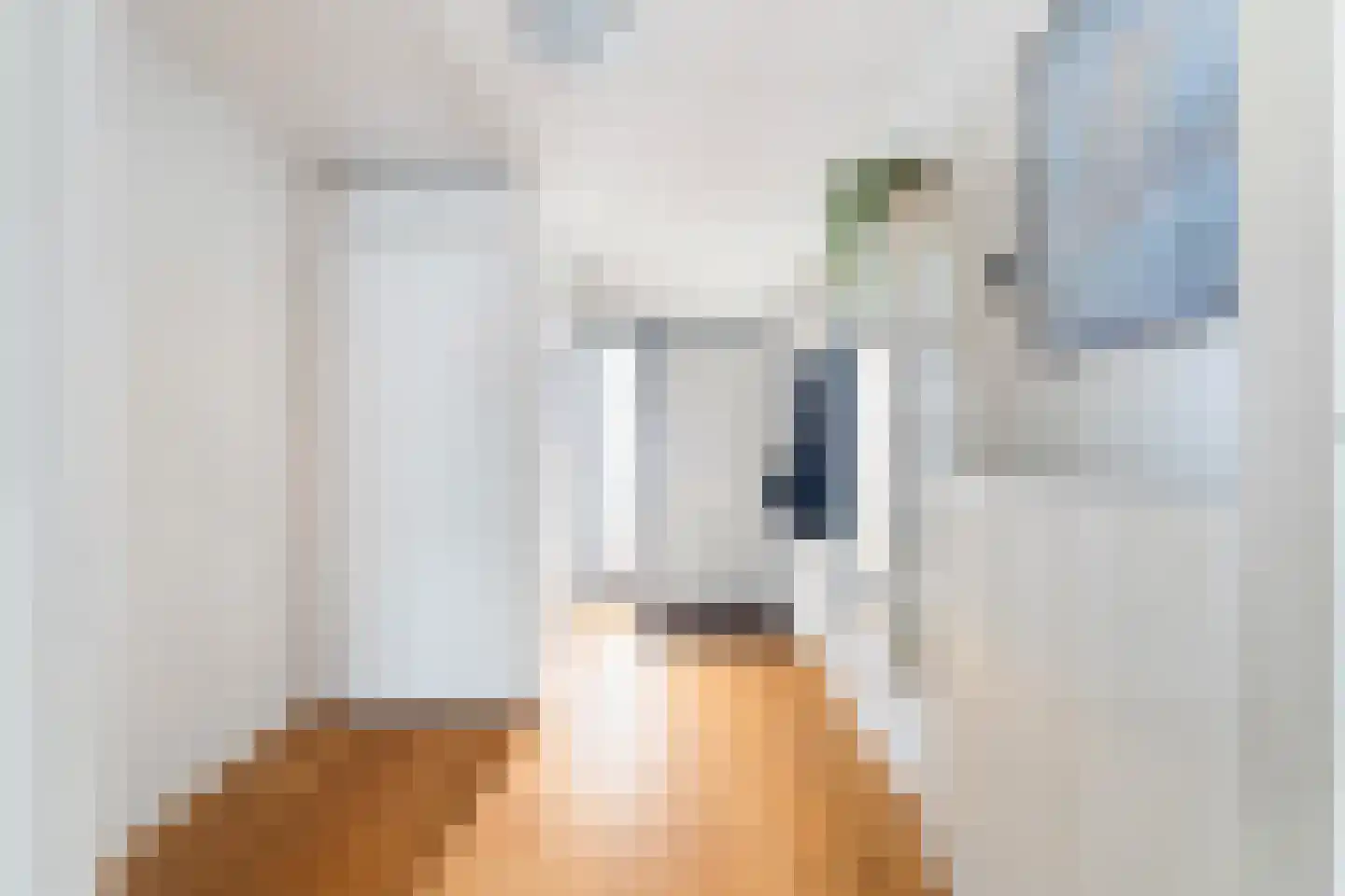 Ballangéelaan 92 Den Haag thumbnail 5