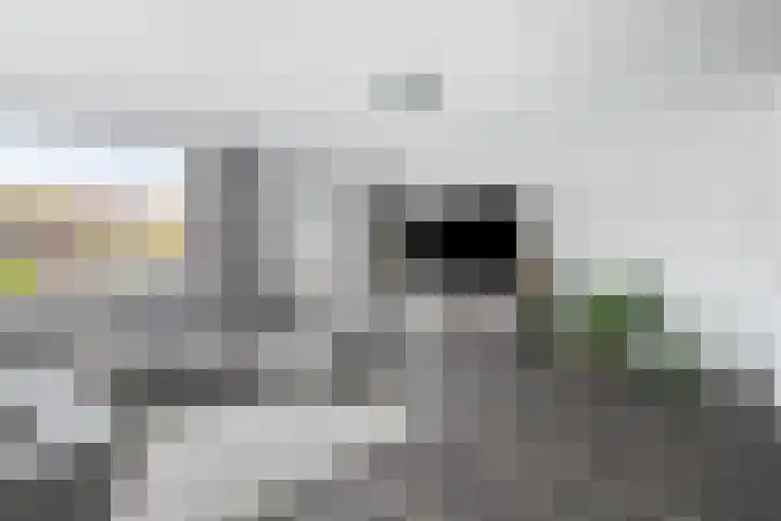 Ballangéelaan 94 Den Haag thumbnail 10