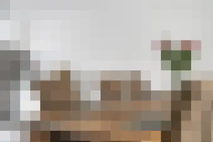 Ballangéelaan 94 Den Haag thumbnail 12
