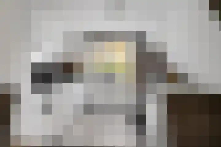 Ballangéelaan 94 Den Haag thumbnail 13