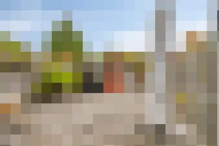 Ballangéelaan 94 Den Haag thumbnail 25