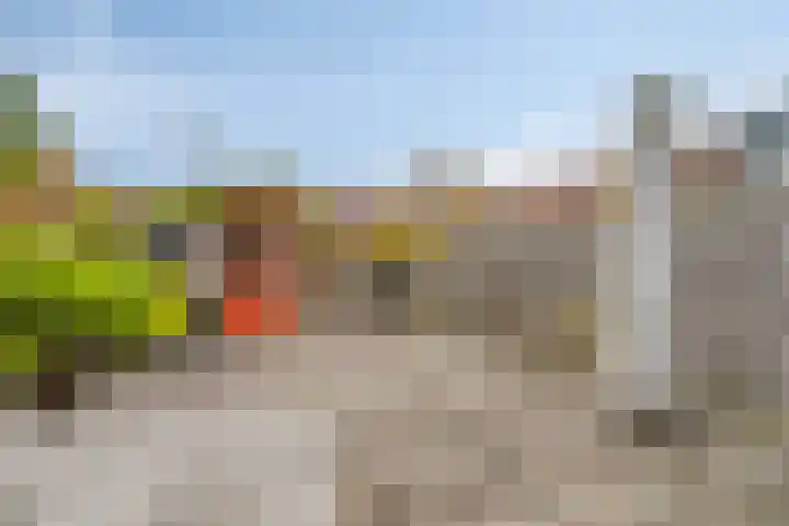 Ballangéelaan 94 Den Haag thumbnail 5