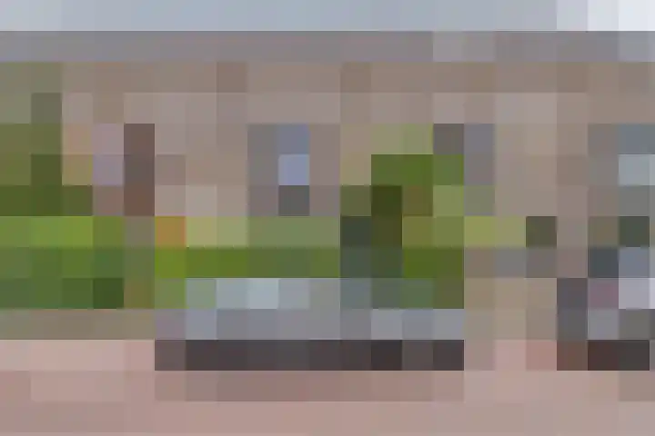 Ballangéelaan 94 Den Haag thumbnail 6
