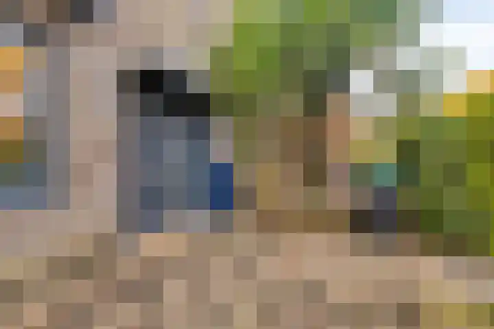 Ballangéelaan 94 Den Haag thumbnail 8