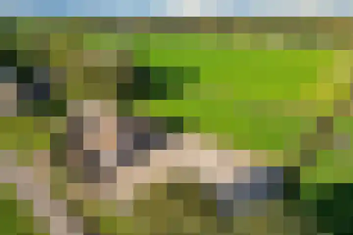 Ballast 44 in Coevorden