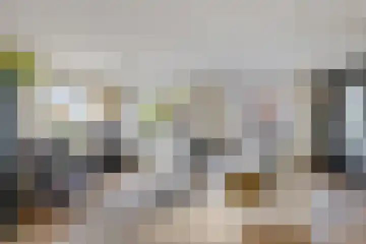 Ballast 44 Coevorden thumbnail 11