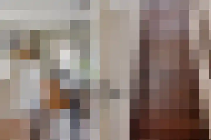 Ballast 44 Coevorden thumbnail 14