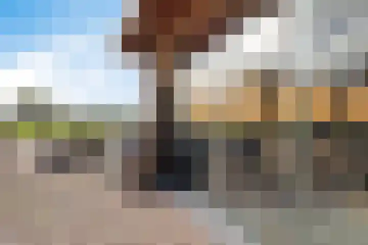 Ballast 44 Coevorden thumbnail 38