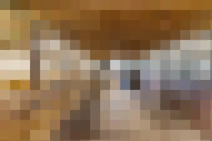 Ballast 44 Coevorden thumbnail 44