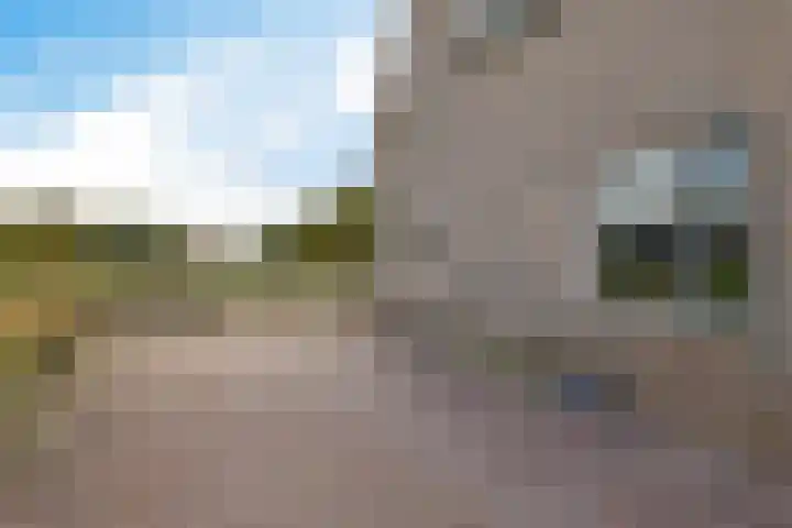 Ballast 44 Coevorden thumbnail 45