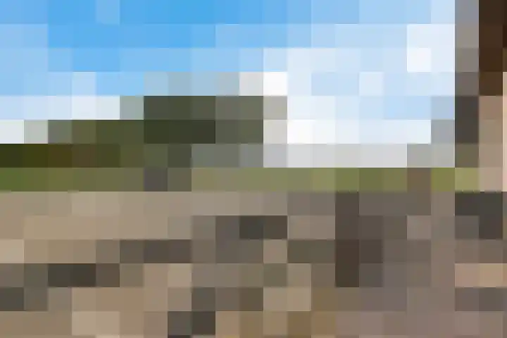 Ballast 44 Coevorden thumbnail 46