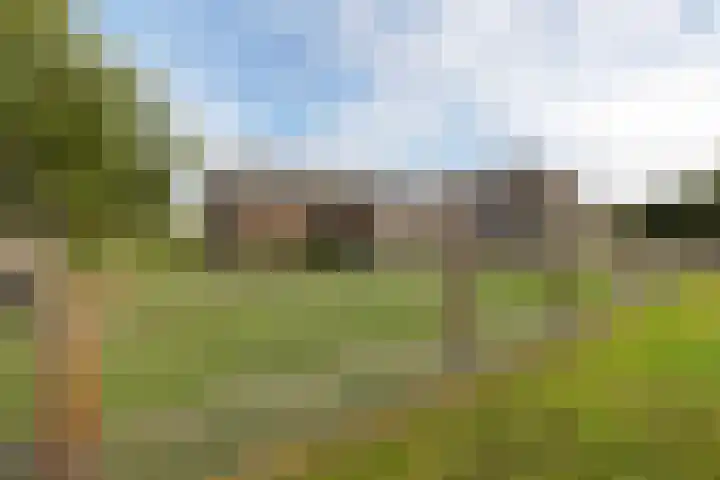Ballast 44 Coevorden thumbnail 47