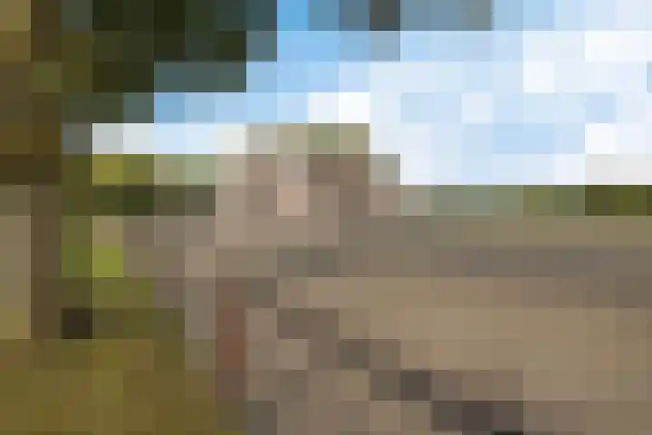 Ballast 44 Coevorden thumbnail 48