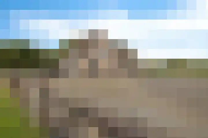 Ballast 44 Coevorden thumbnail 5