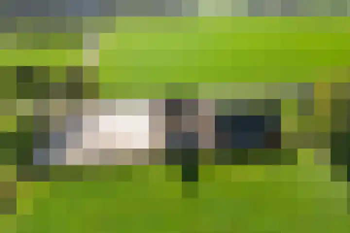 Ballast 44 Coevorden thumbnail 50