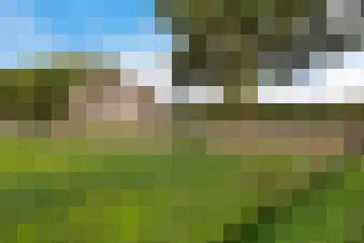 Ballast 44 Coevorden thumbnail 6